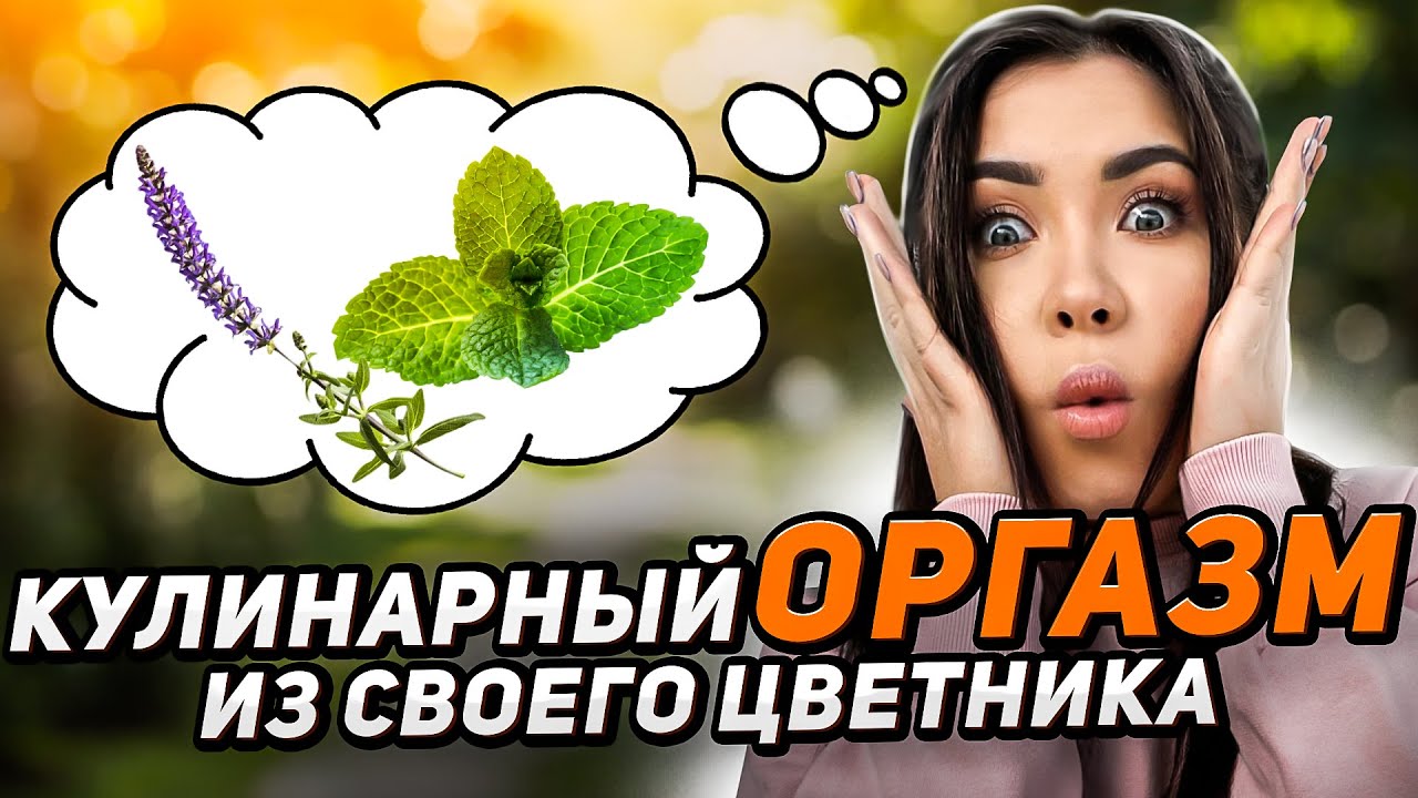 Вас Очаруют Эти Ароматы! Душистые Цветы Для Вашего Сада
