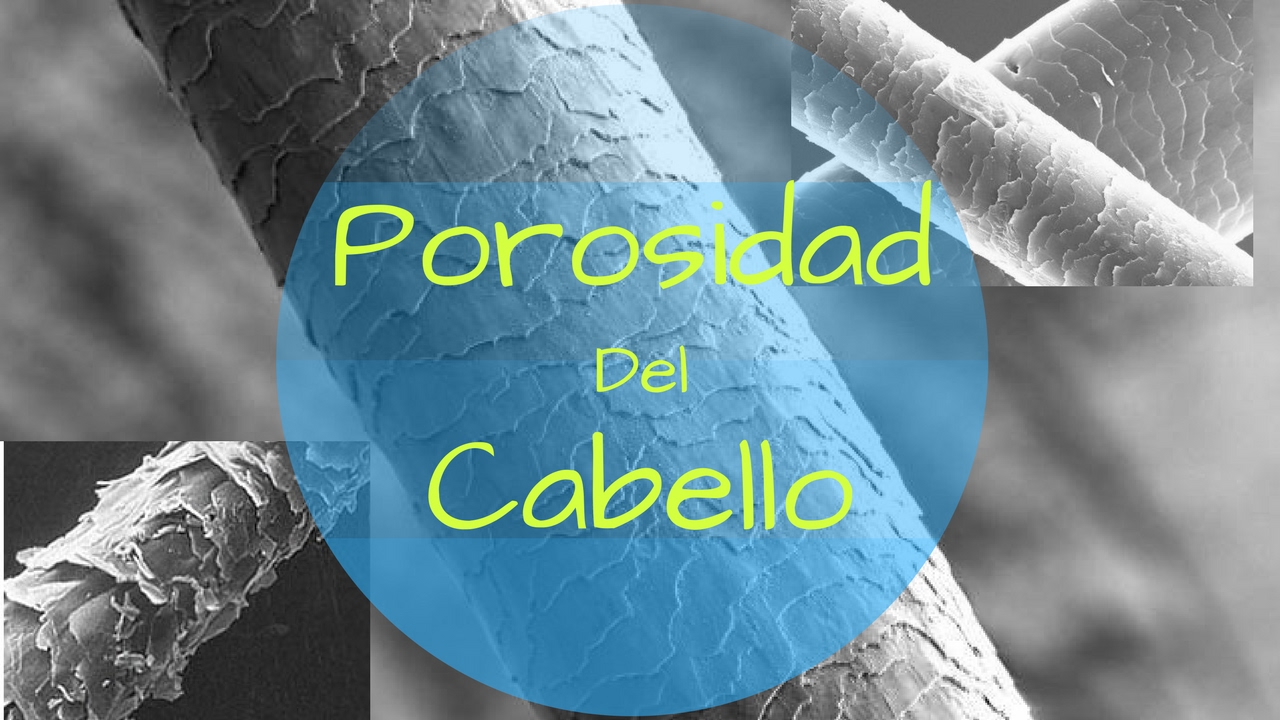Porosidad del Cabello