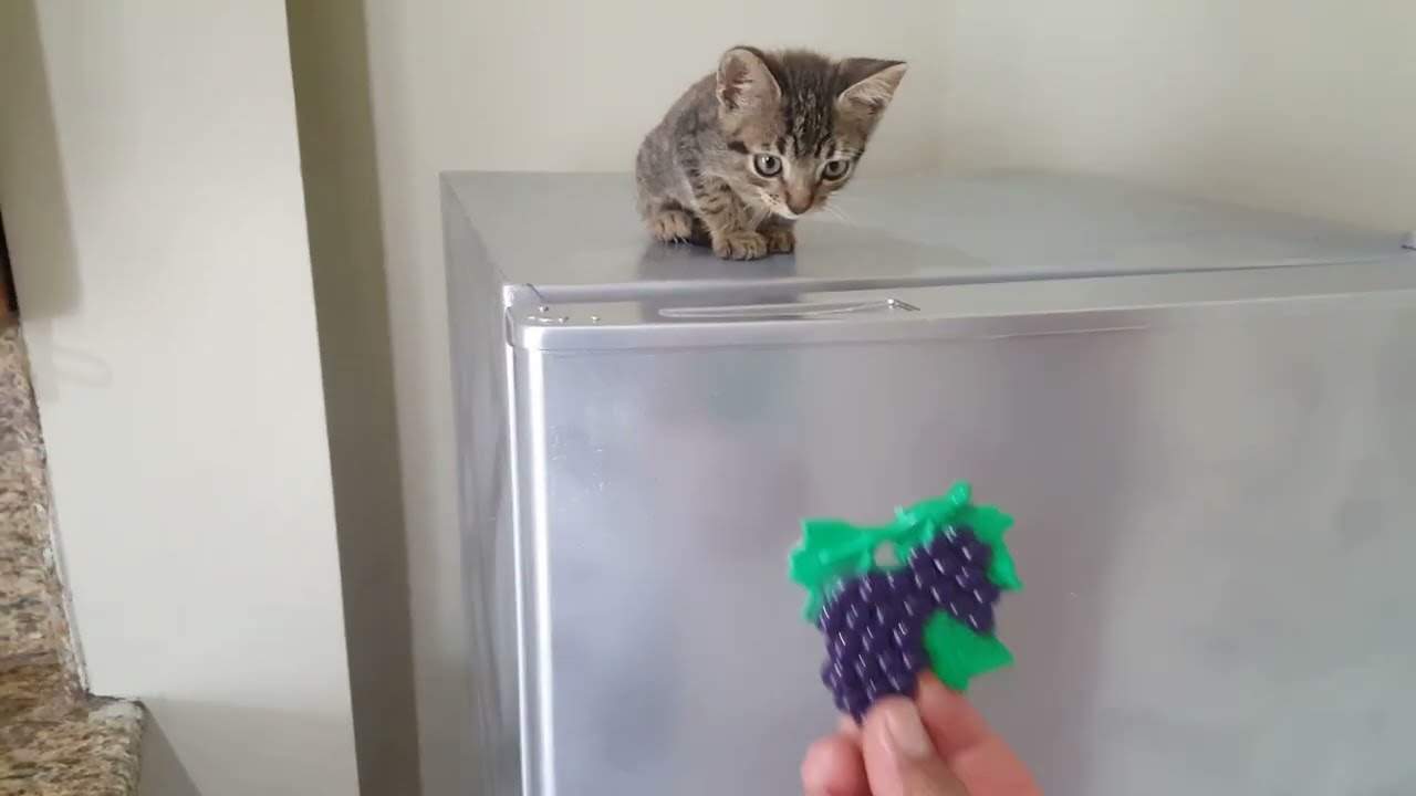 como pintar  una  ( Refrigeradora )