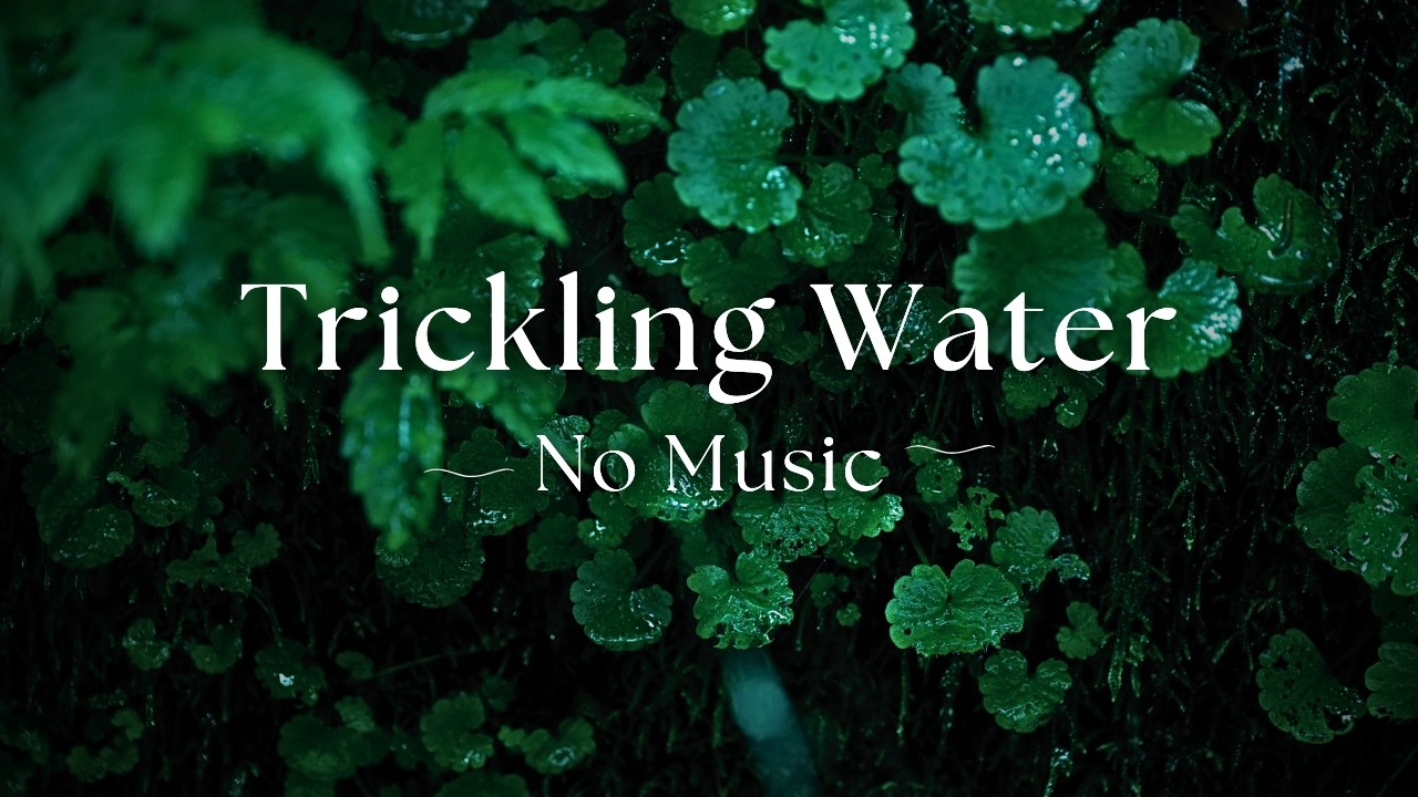 – NO MUSIC – 10 Hours of Pure Trickling Water Sounds