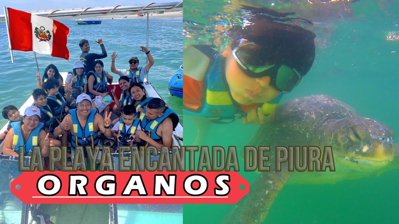 🤠👉 PLAYA ÓRGANOS nadamos junto a las TORTUGAS PIURA   PERÚ 🇵🇪