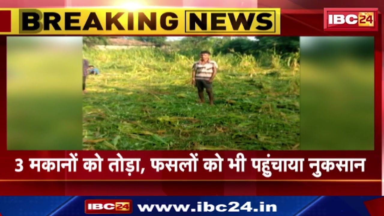 Pendra Elephant News: पेंड्रा में 5 हाथियों के दल ने दी दस्तक। हाथियों ने 3 मकानों को तोड़ा