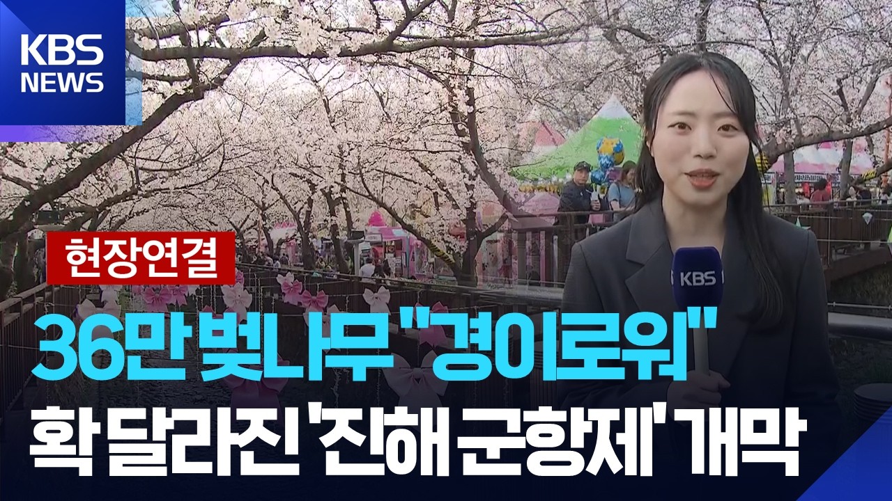 [현장연결] 더 화려해진 &lsquo;진해군항제&rsquo;&hellip;&ldquo;분홍빛 설렘 가득&rdquo; / KBS  2026.03.27.