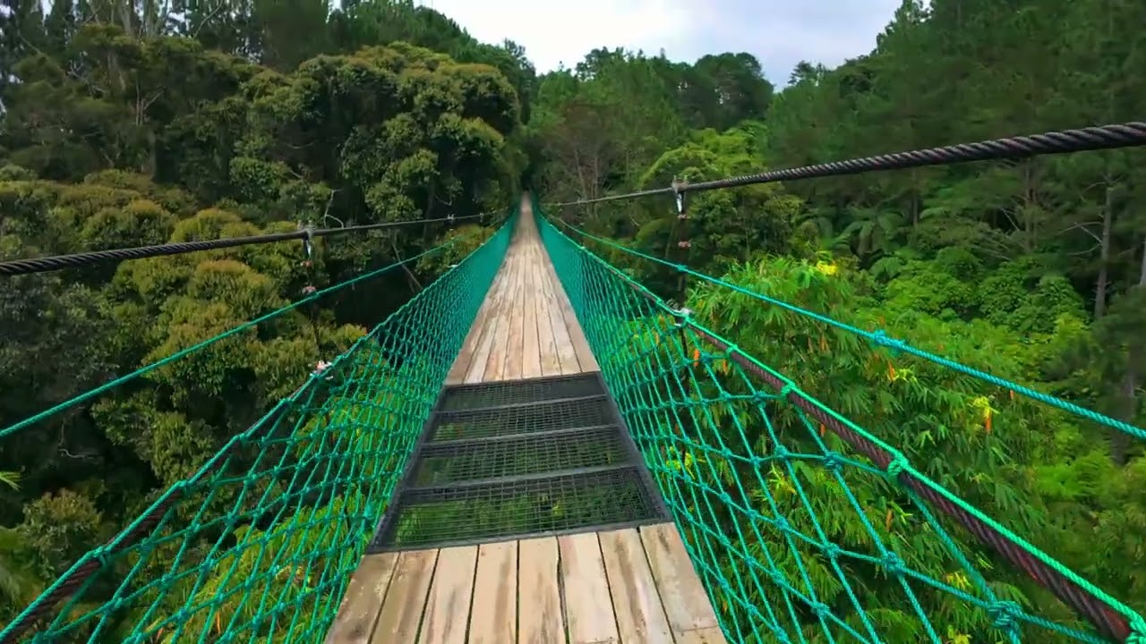 Skywalk Adventure Above the Forest | 4K Camp Sabros Mountain Resort, Kapatagan, Digos, Davao del Sur