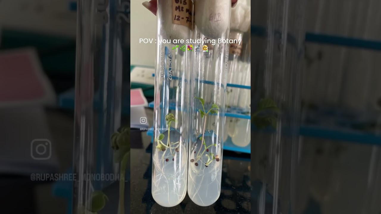 Studying Botany is fun 🌱🌿👩&zwj;🔬🔬💐 #plants #botany #study #christuniversity #students #lifescience