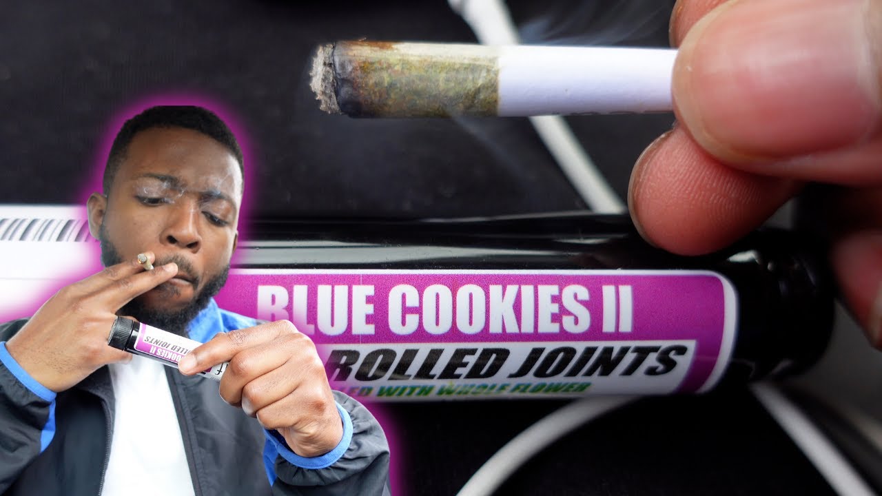 Blue Cookies Strain Review