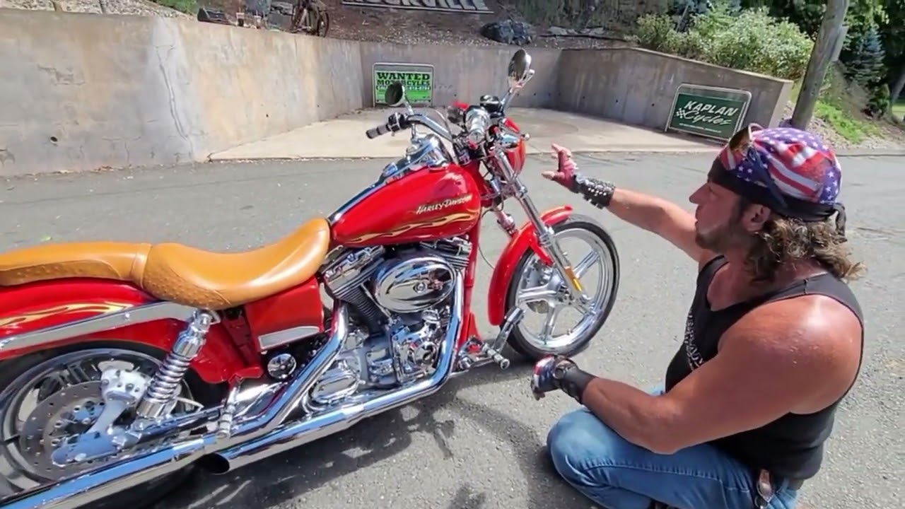 DALE'S SWITCHBLADE 2001 HARLEY-DAVIDSON CVO DYNA FXDWG2 88CI АЛЫЙ И 23-КАРАТНЫЙ ЗОЛОТОЙ
