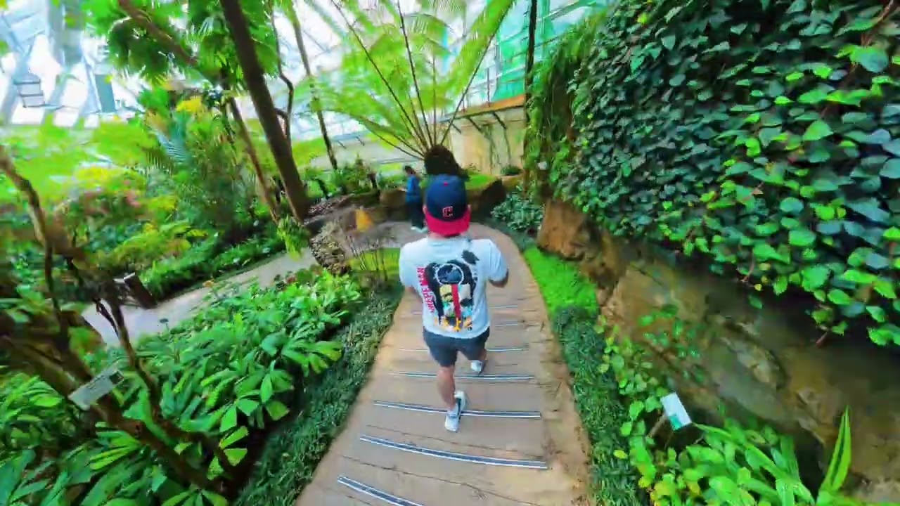 🌿 Forsgate Conservatory, Hong Kong 🌿