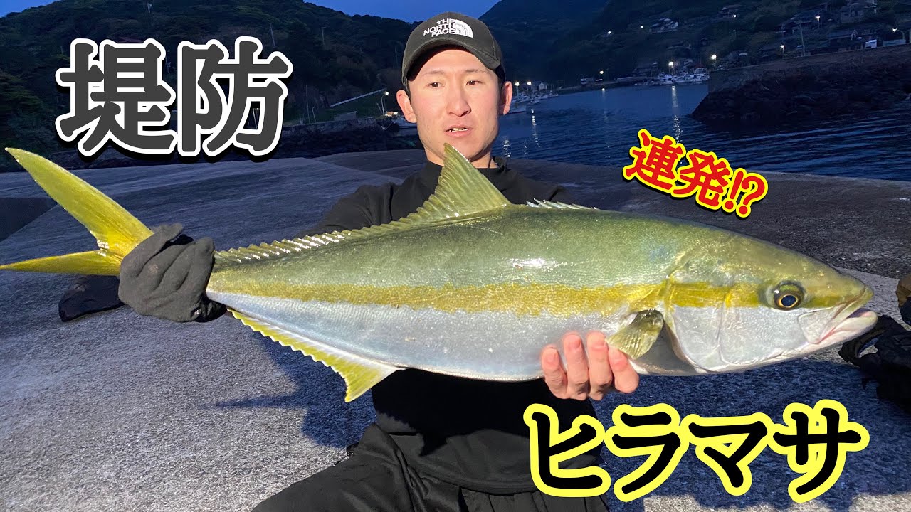 [堤防 青物]  九州北部のヒラマサが連発する堤防が凄かった。