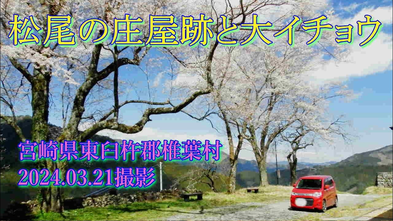 松尾の庄屋跡と大イチョウ　2024.03.21撮影