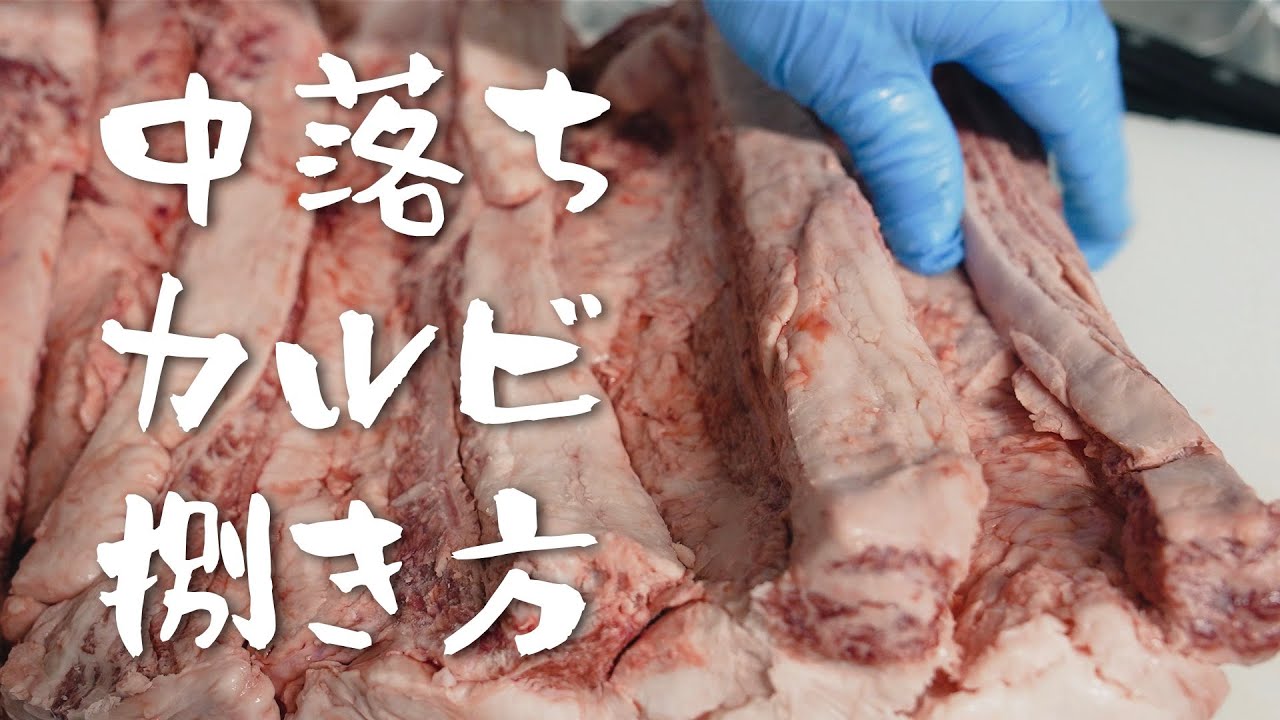 【 中落ちカルビ 】内バラの捌き方 | 人気のカイノミ、まぼろしカルビも紹介！ vol.7