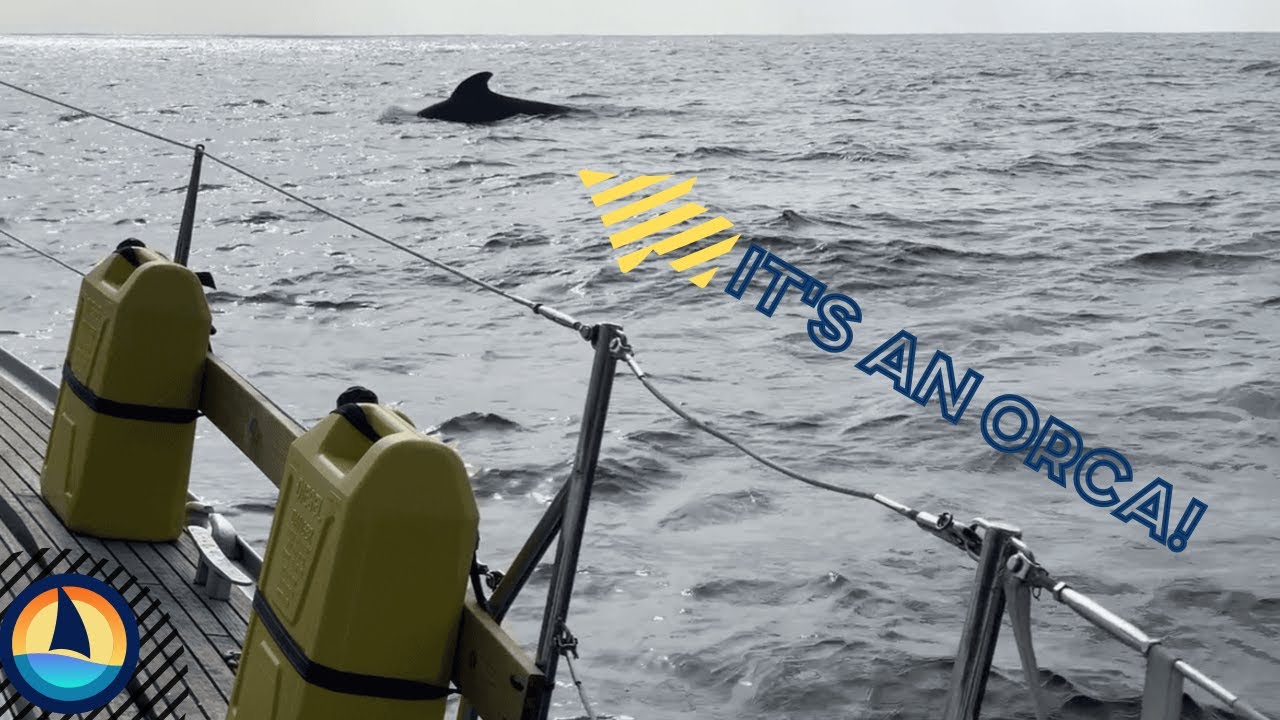 Ep42 | Seasickness & Spotting a Whale! Offshore Sailing from Portugal to Canary Islands (Pt. 2/3)