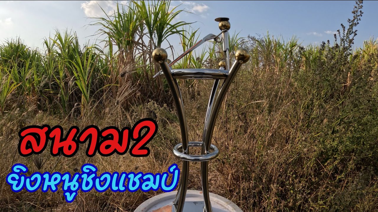 สนาม2 ใครคือแชมป์? ยิงหนูชิงถ้วยรางวัลหนูใหญ่ สนามกลางป่าอ้อยถิ่นพรานหมึก งานนี้ลุ้นจนวินาทีสุดท้าย