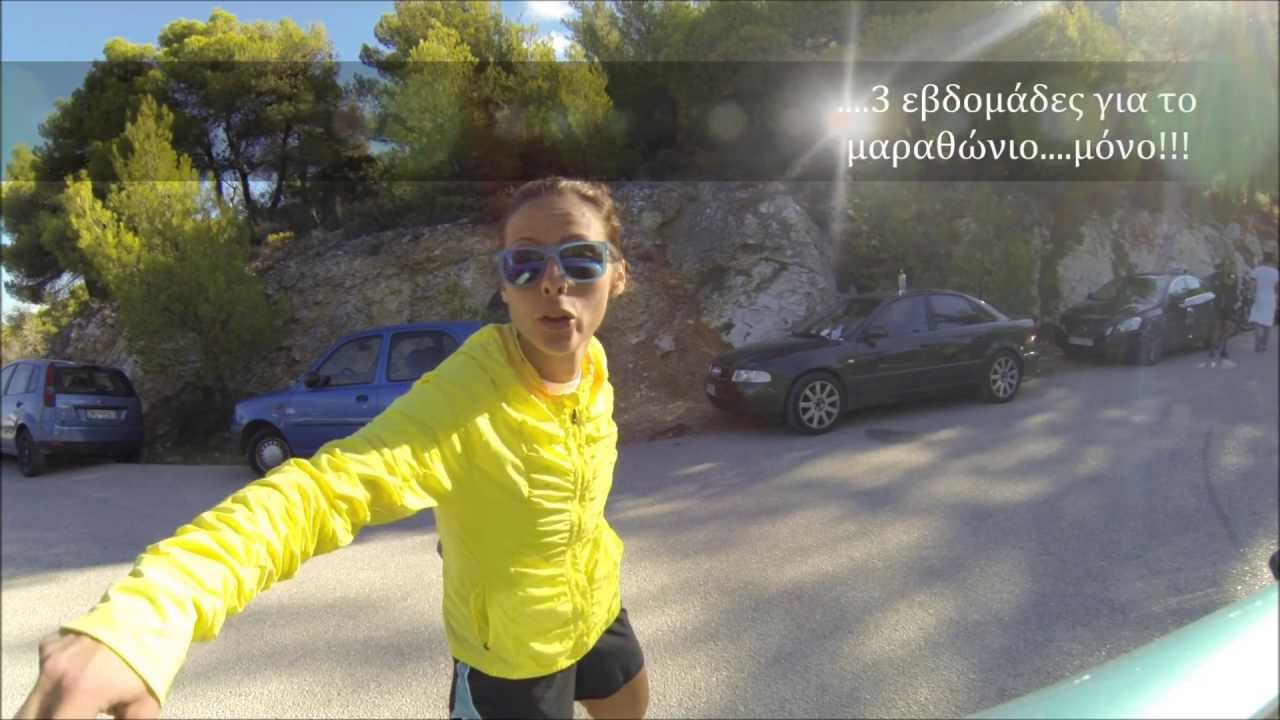 A runner's diary - the long run