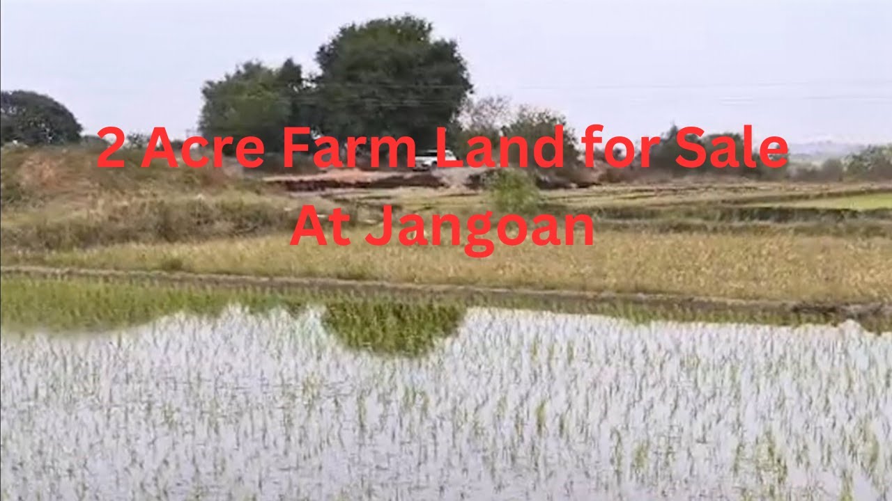 2 Acres Farm Land for Sale Near Jangaon | Full Water | Near Highway | Agriculture Land | 9912927781