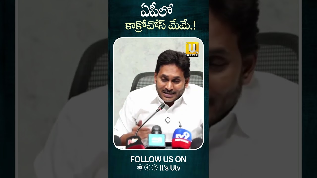 ఏపీలో కాక్రోచోస్ మేమే #ysjaganmohanreddy #cmchandrababu #cocroachjantaparty #appolitics #itsutvnews