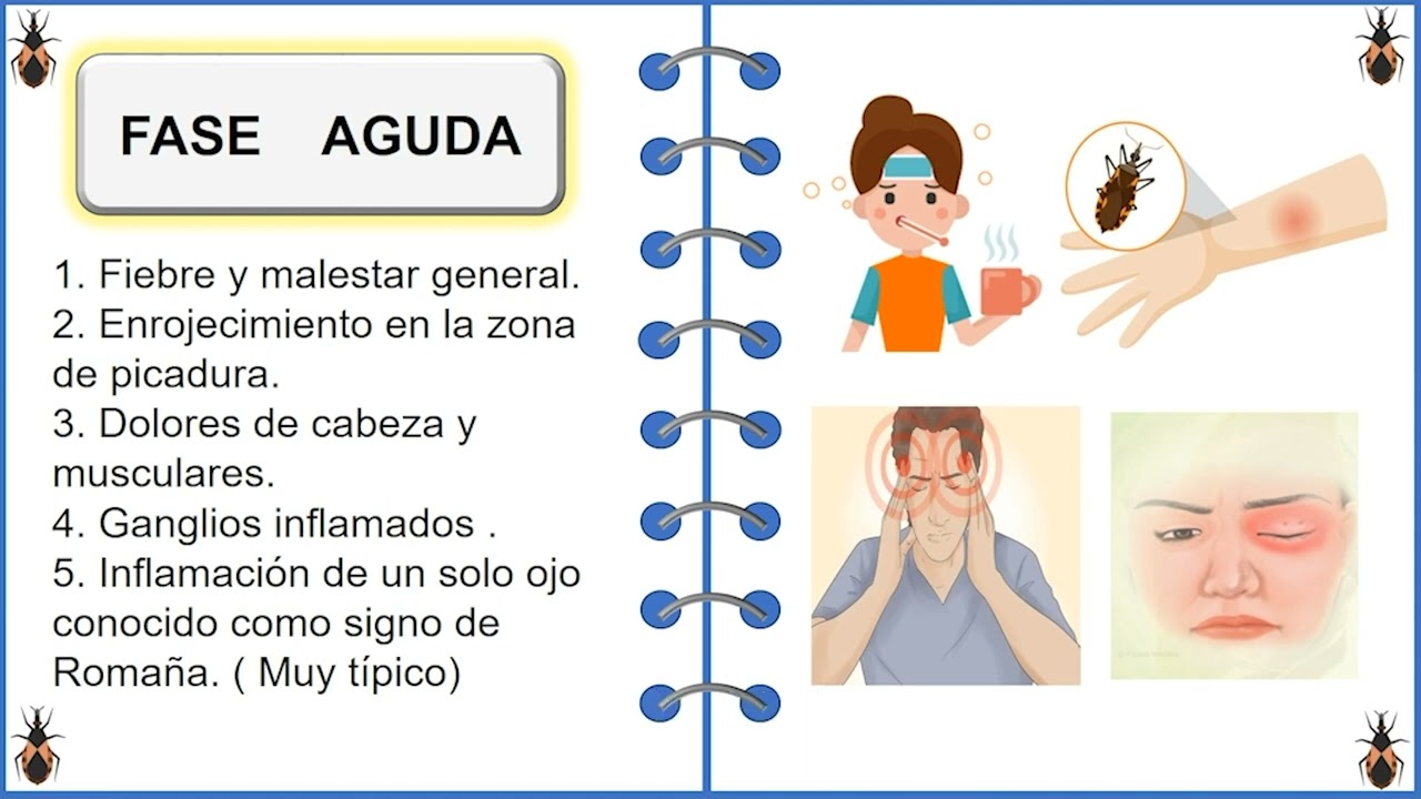Riesgo de Chagas para viajeros en zonas endémicas