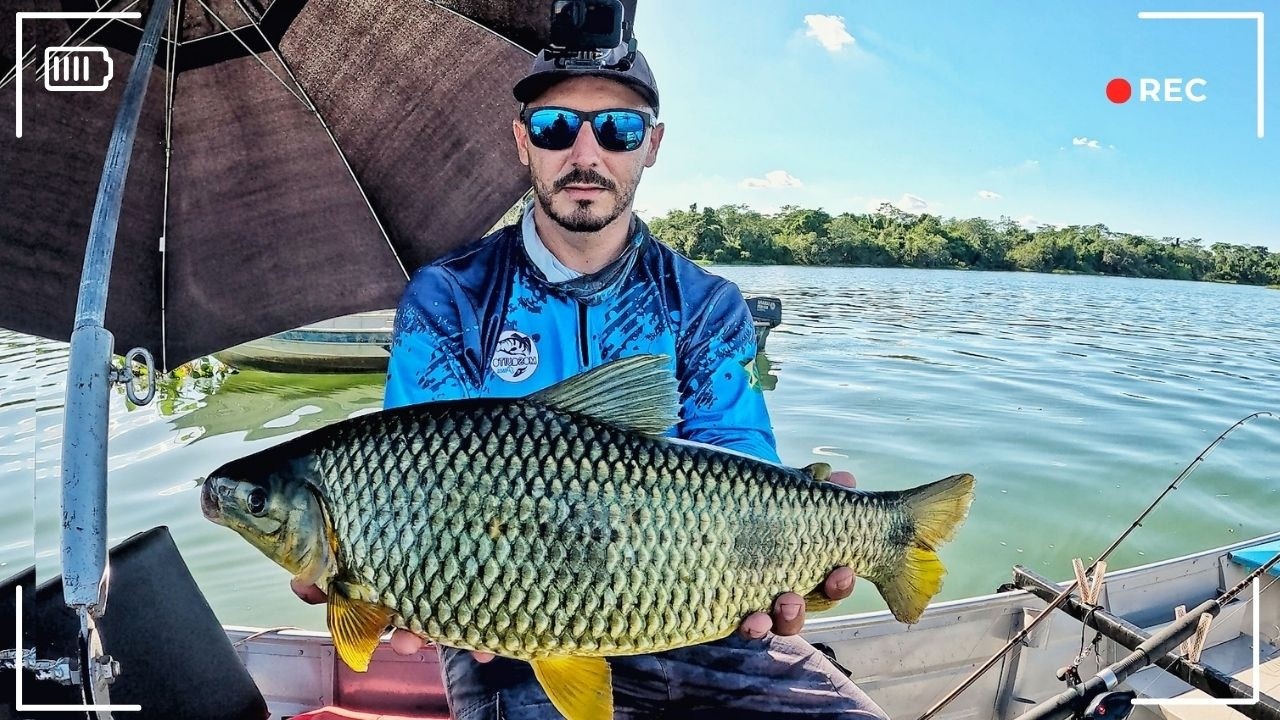 O RIO MAIS INCRIVEL DO MUNDO PRA PESCAR PIAPARA!! PESCARIA NO RIO PARANA