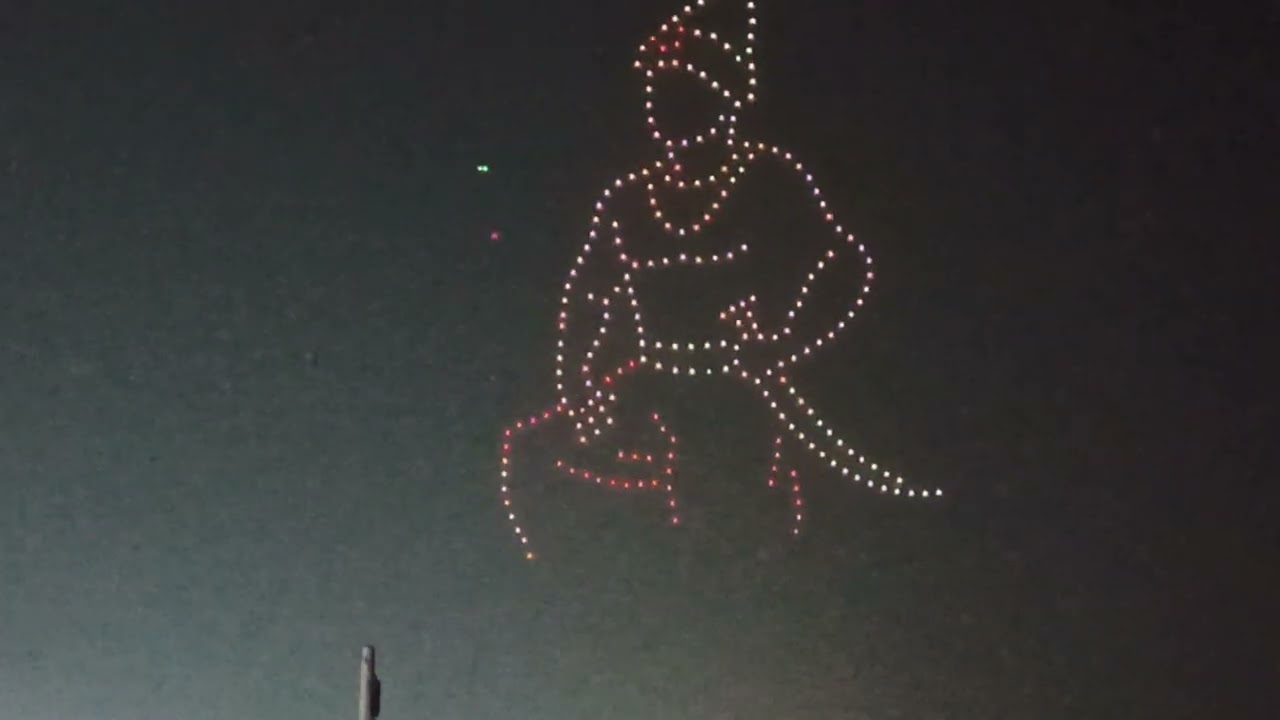 నేవీ డొన్ షో 