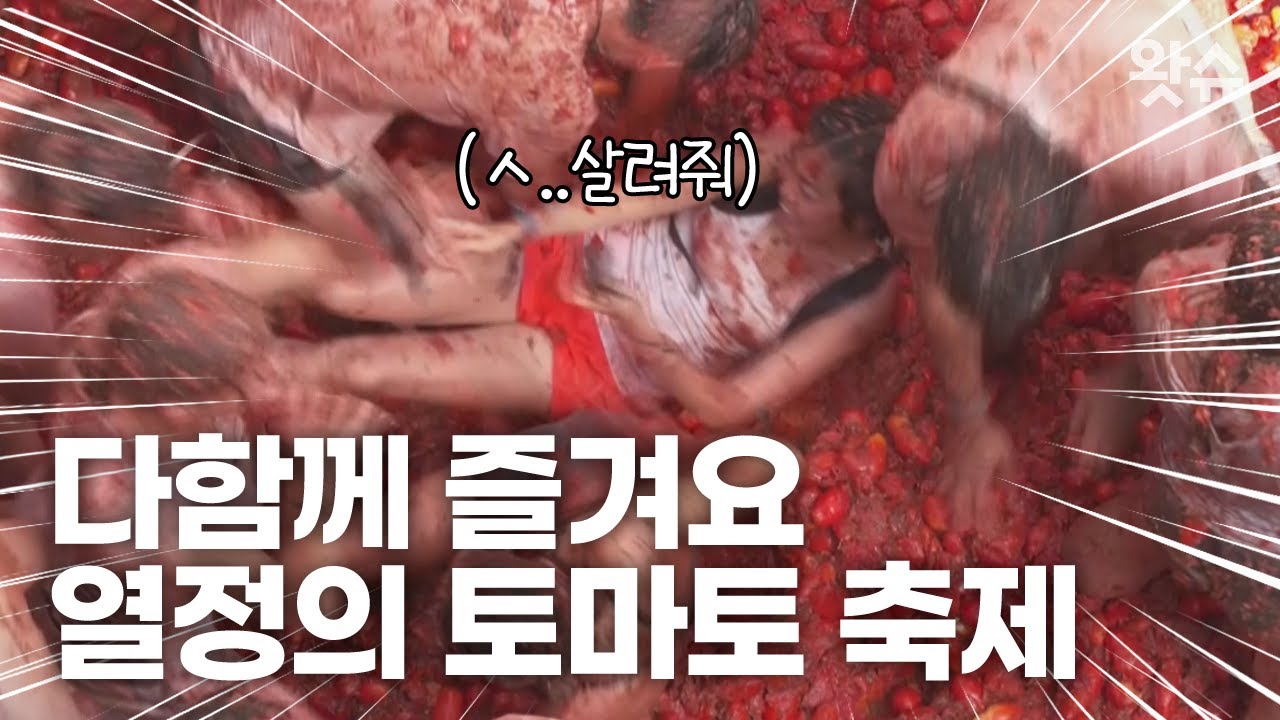 코로나로 3년 만에 다시 열린 스페인 토마토 축제 🍅La Tomatina🍅 / 왓슈