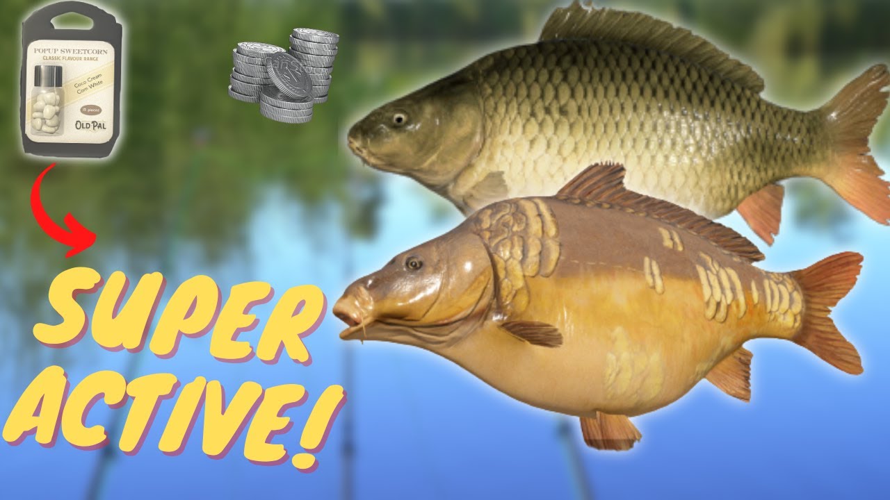 SUPER ACTIVE CARP SPOT IN BEAR LAKE! #475 Russian fishing 4