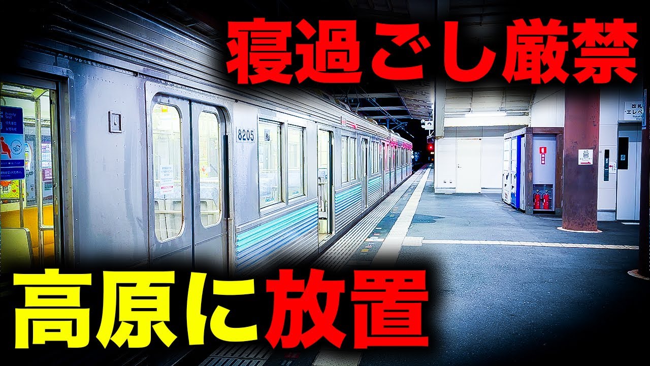 【野宿確定】寝過ごすと深夜の高原に放置されてしまう恐怖の終電を乗り通してみた｜終電で終点に行ってみた#128