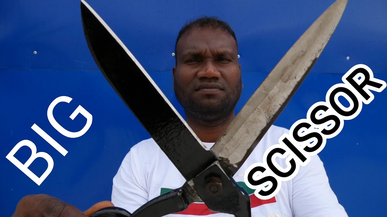 VERY VERY BIG SCISSOR CUTTING SOUNDS