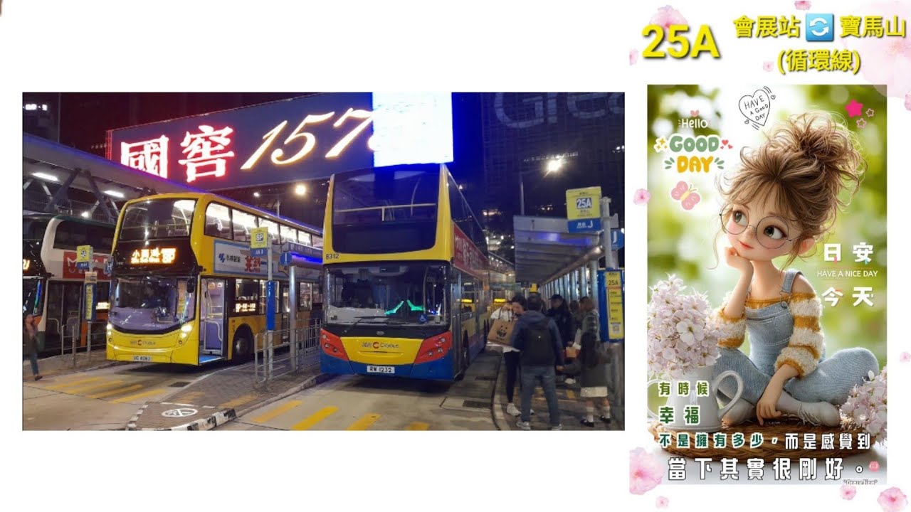 Hong Kong Bus CTB 8312 @ 25A 城巴 Alexander Dennis Enviro500 會展站 寶馬山 會展站
