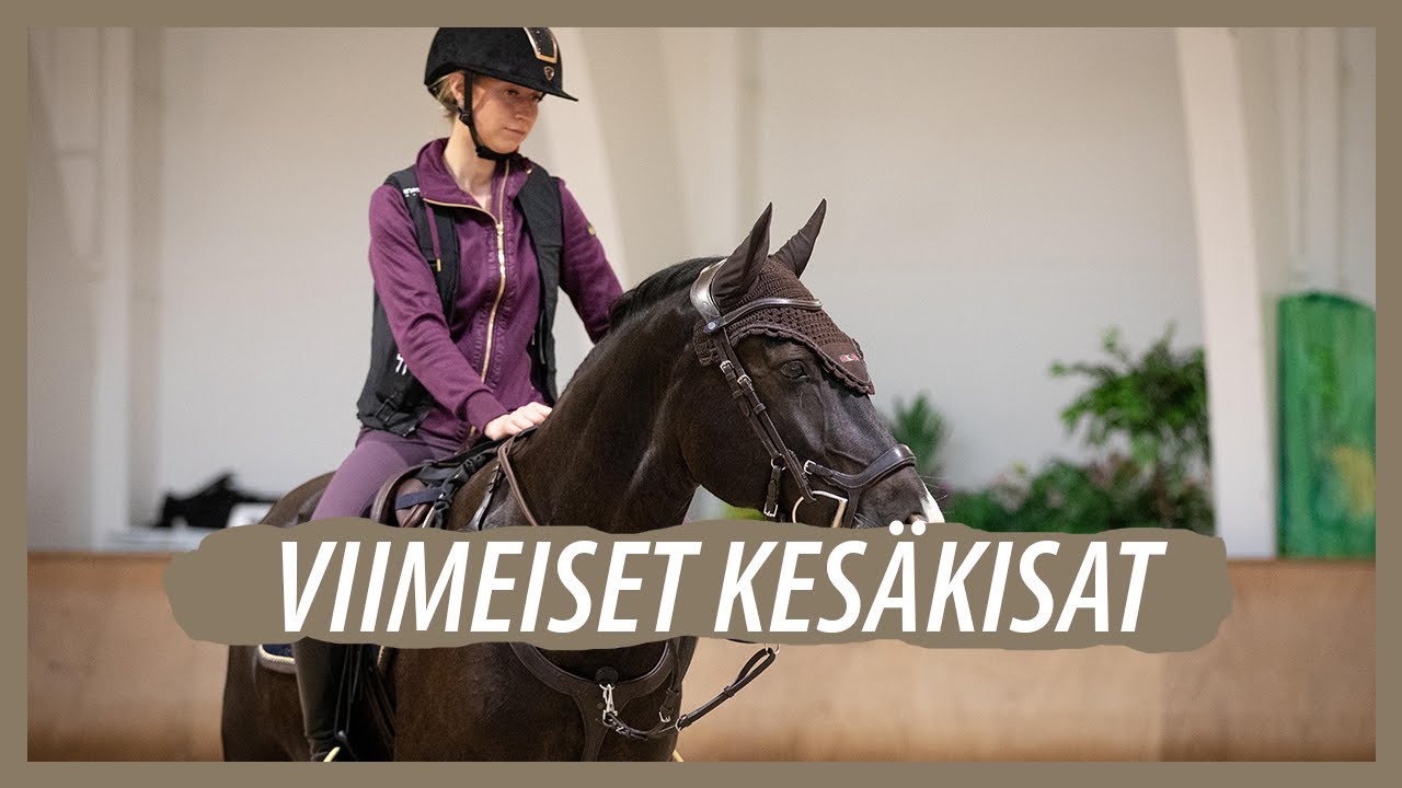 Treenikausi käyntiin 🐴 || Pitkä tallivideopostaus