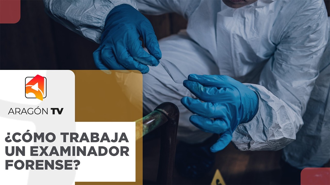 ¿Cómo trabaja un investigador forense?