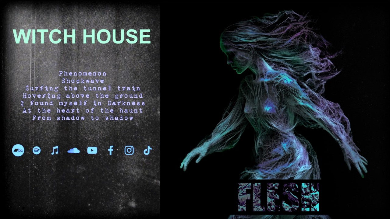 FLESH ▼ Phenomenon (full album)