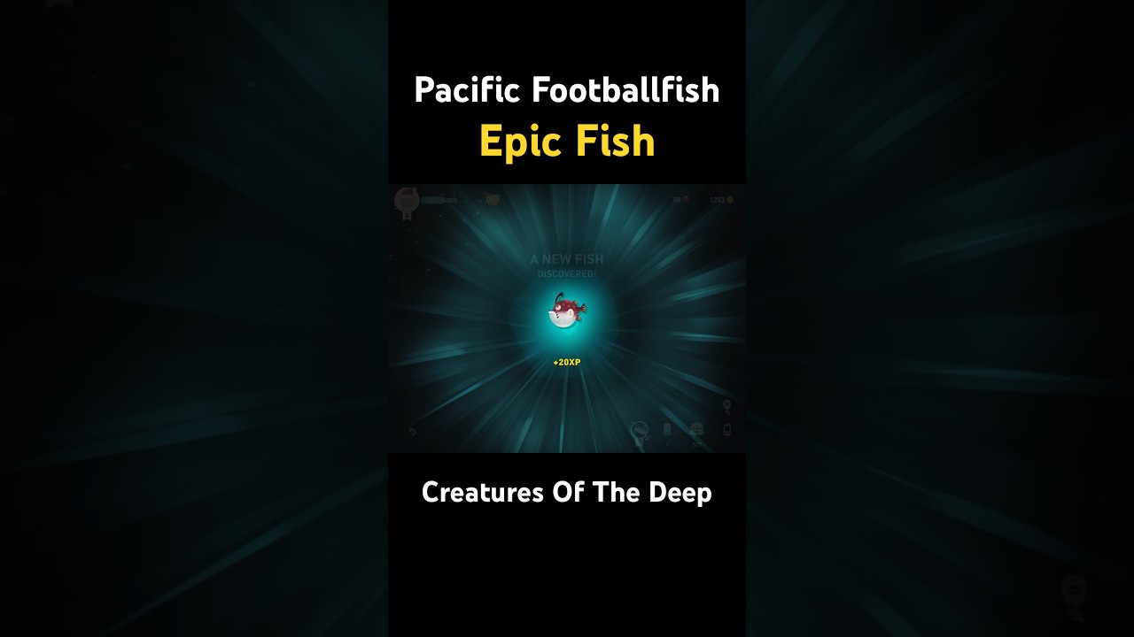 Creatures Of The Deep :  Pacific Footballfish Epic Fish