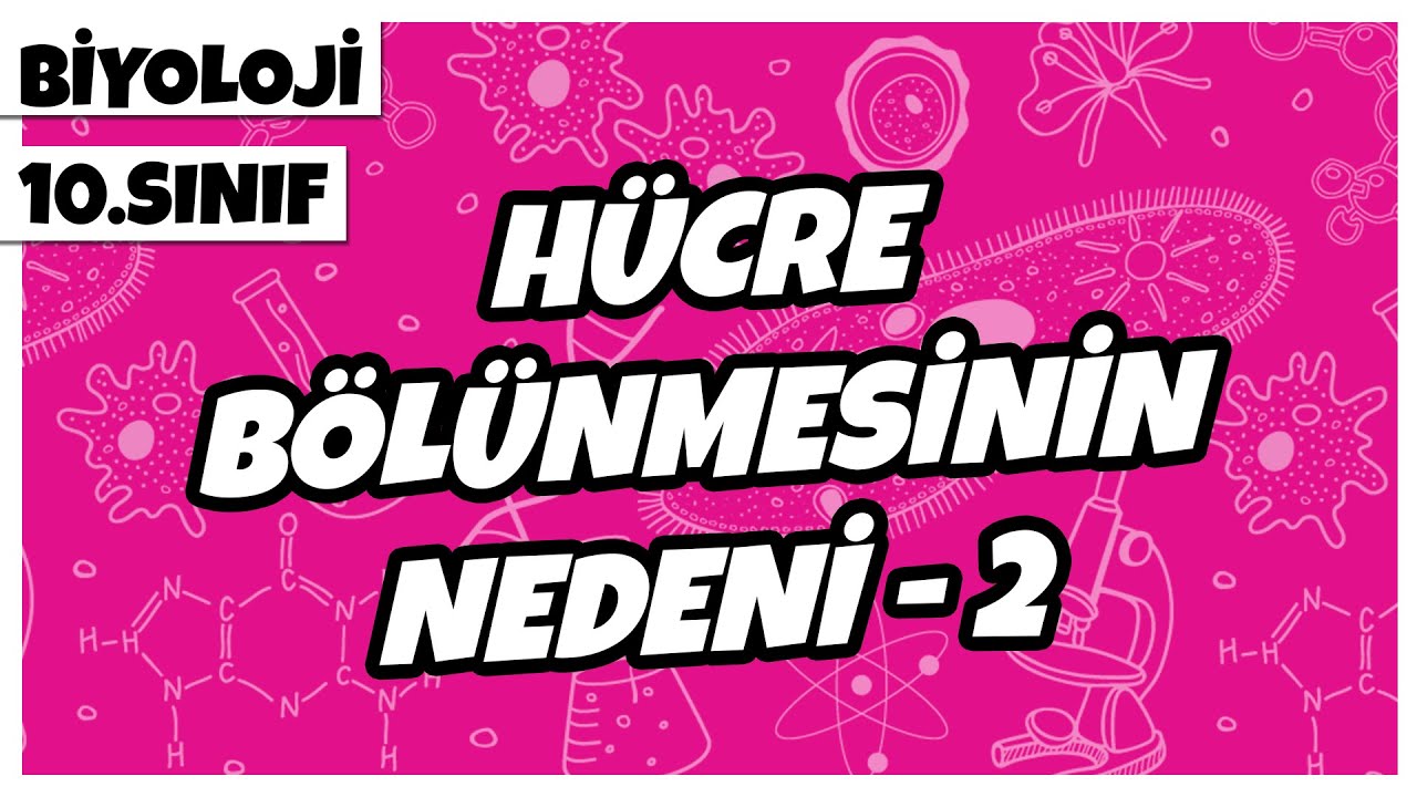 10. Sınıf Biyoloji - Hücre Bölünmesinin Nedeni -2 | 2022