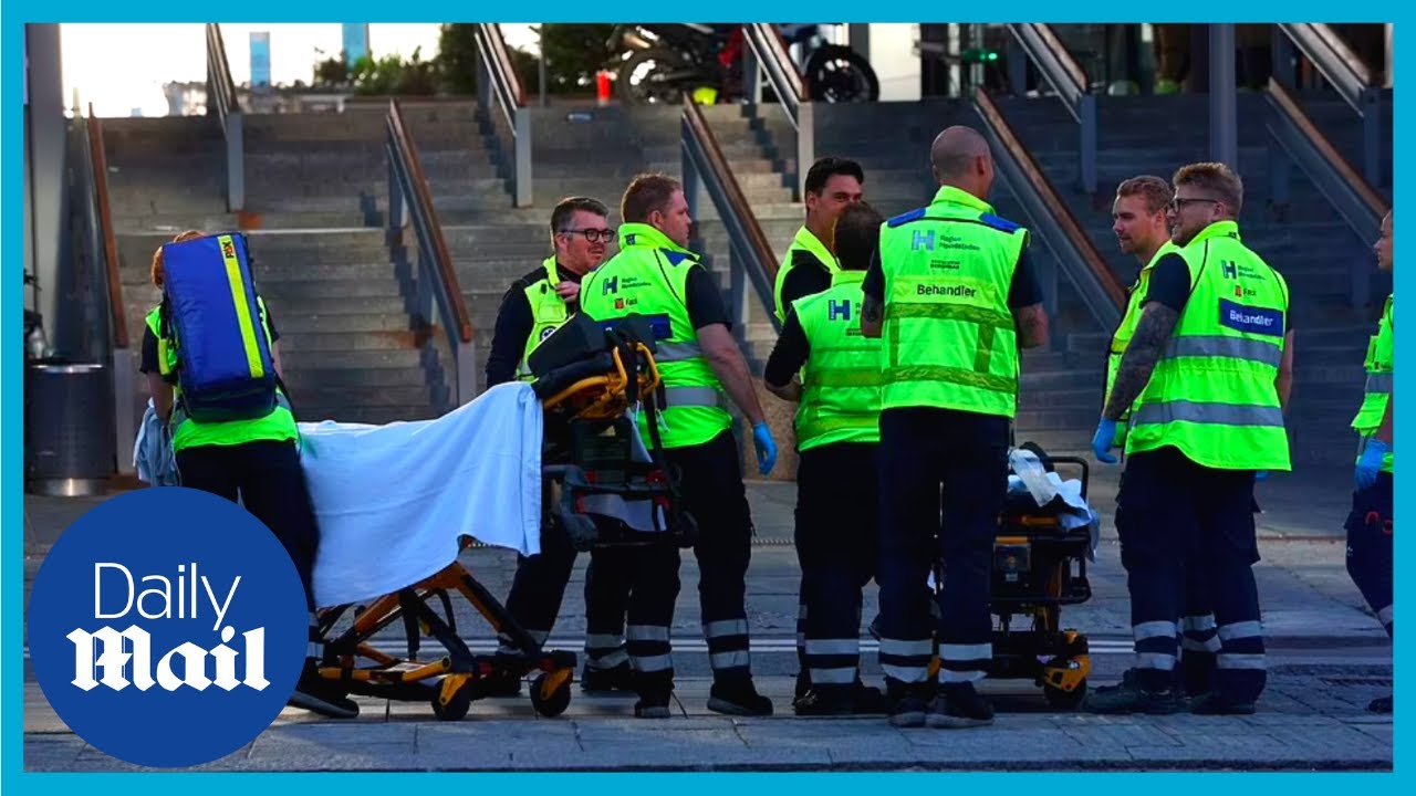 Copenhagen shopping mall shooting leaves several dead