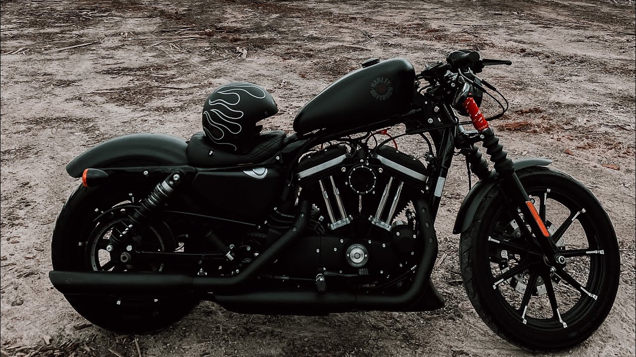 IRON 883 NO DIA A DIA E SUPORTE DE PLACA LATERAL