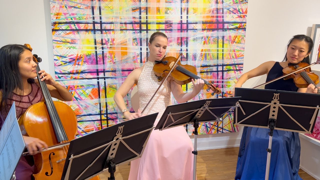 Wildest Dreams (Taylor Swift) – Streichquartett Cover (Live)