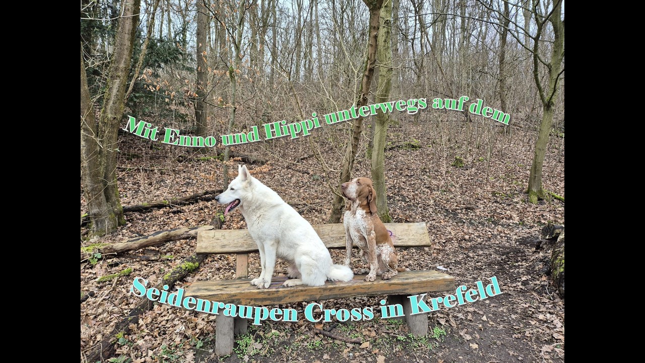 Auf den Spuren des Seidenraupen Cross in Krefeld mit Enno und Hippi