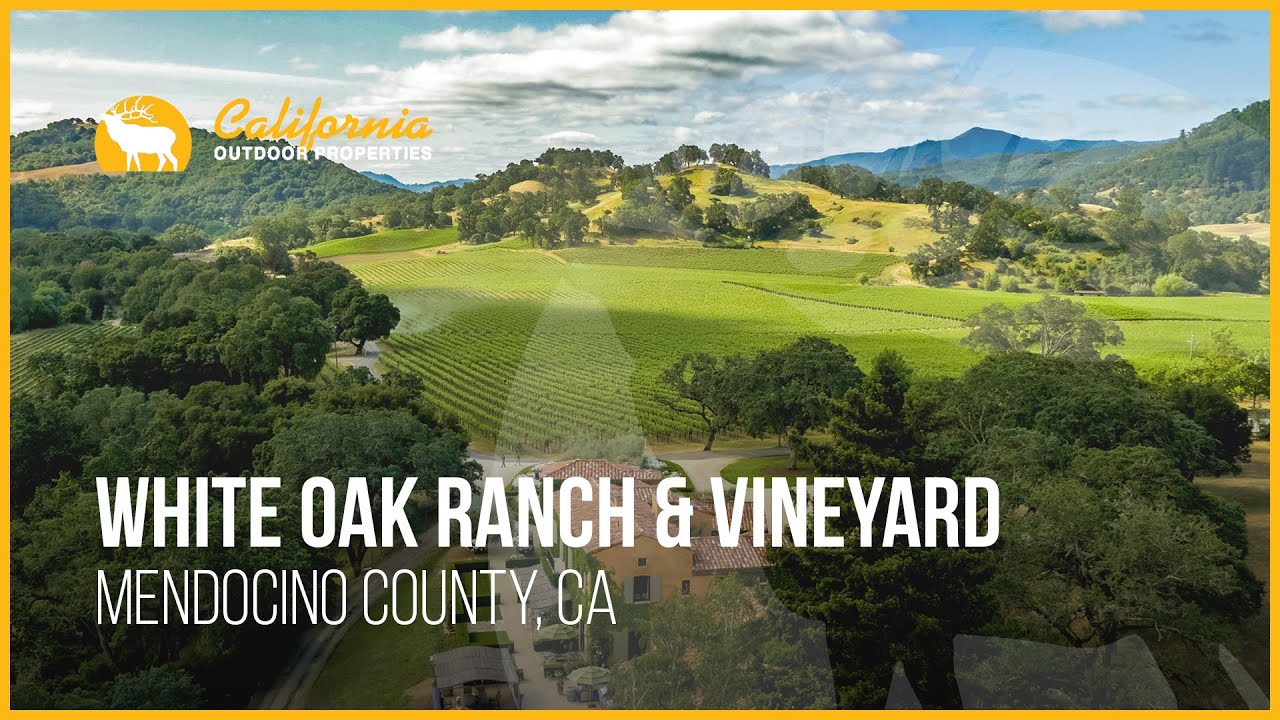 Million Dollar Estate | White Oak Ranch and Vineyard California Property For Sale