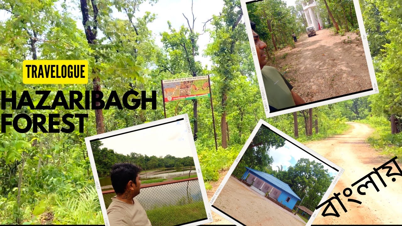 Hazaribag Wildlife Sanctuary. weekend destination বাংলাতে.  #thetrekkit #hodophile