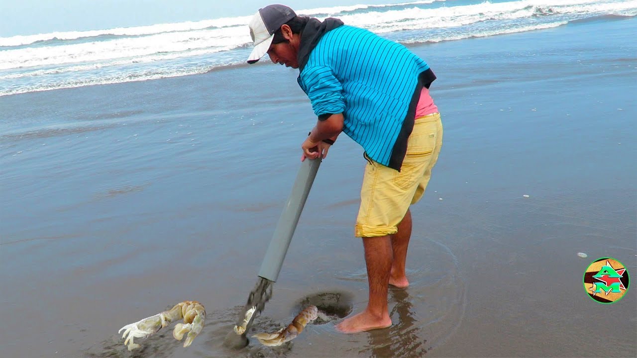 Como SACAR NAPES O MARUCHAS PARA PESCAR Todo los Peces - CARNADA NAPES