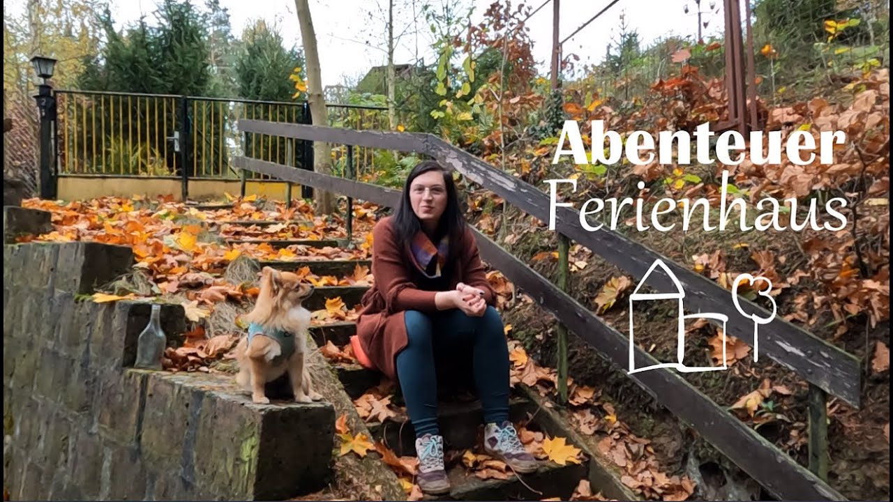 Ich habe ein Grundstück im Harz gekauft | Abenteuer Ferienhaus