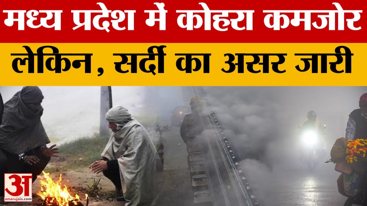 MP Weather News: हिमालयी सिस्टम का असर, ठंड और बढ़ेगी.. अगले कुछ दिन कैसा रहेगा मौसम, जान लीजिए