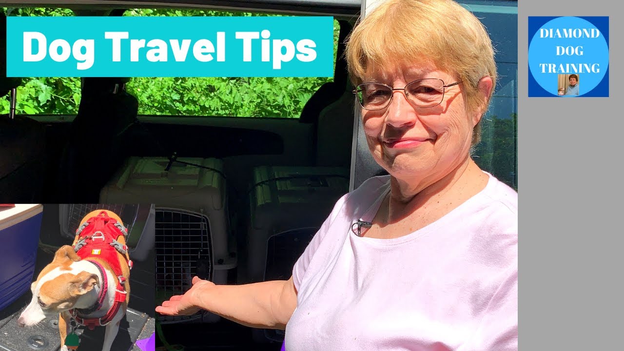 How To Travel With Dog In Car For Long Distance Travel Tips