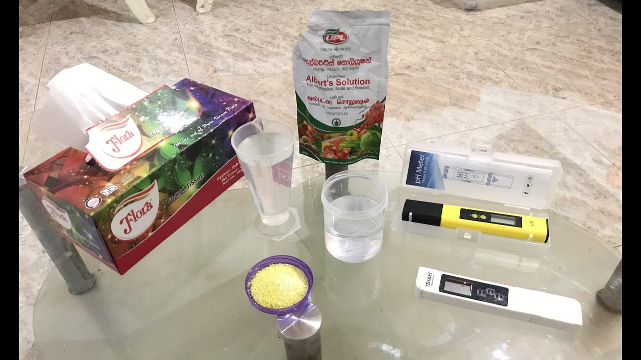 HYDROPONIC සරලව සින්හලෙන් මුලසිට  Part 2