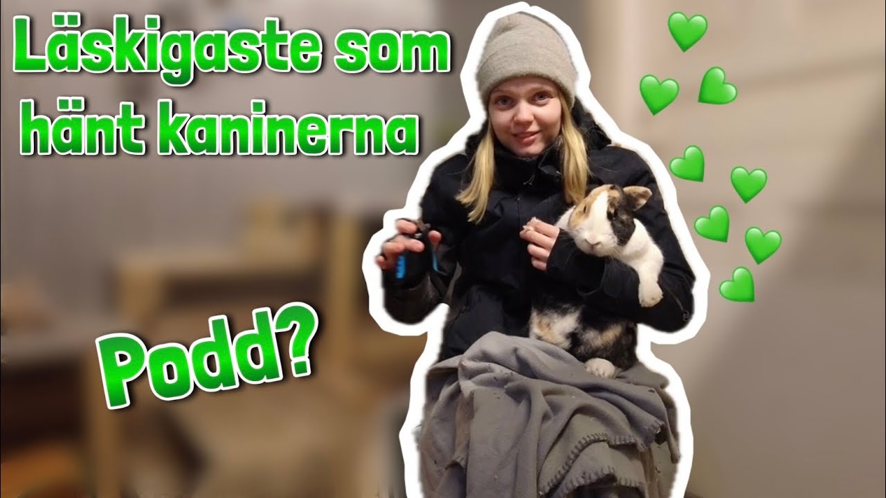 Kloklippning för alla kaniner ~FRÅGOR & KOMMENTARER