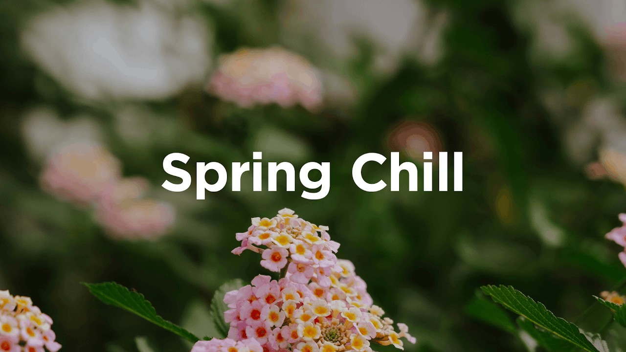 Spring Chill Mix 🌼 Relaxing House