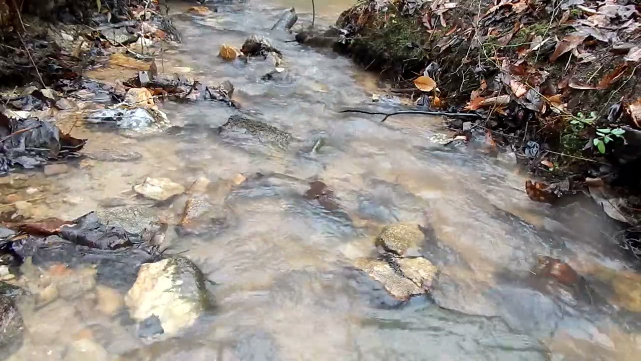 30 Minutes of Peaceful Creek Sounds