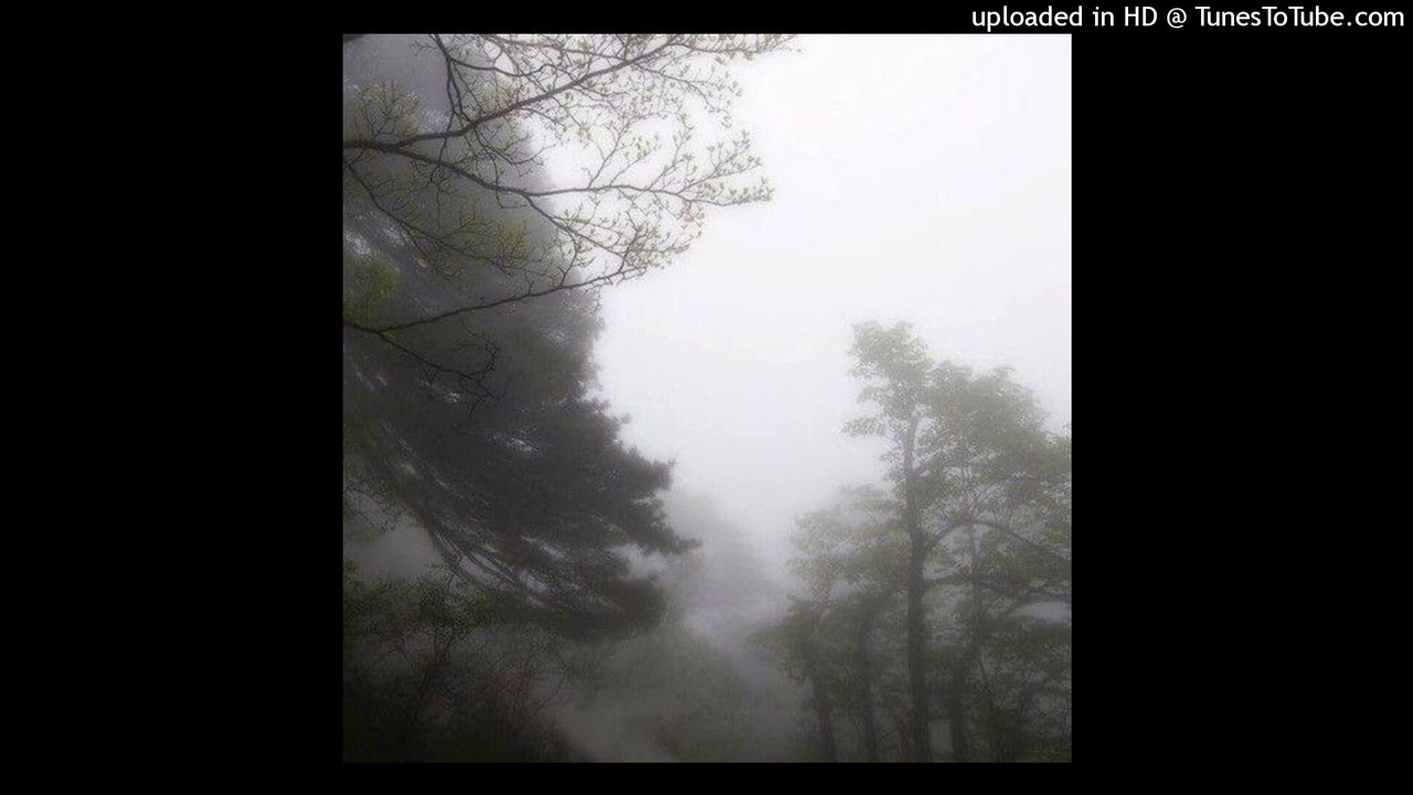 [free] heygwuapo x che x bryalle type beat 