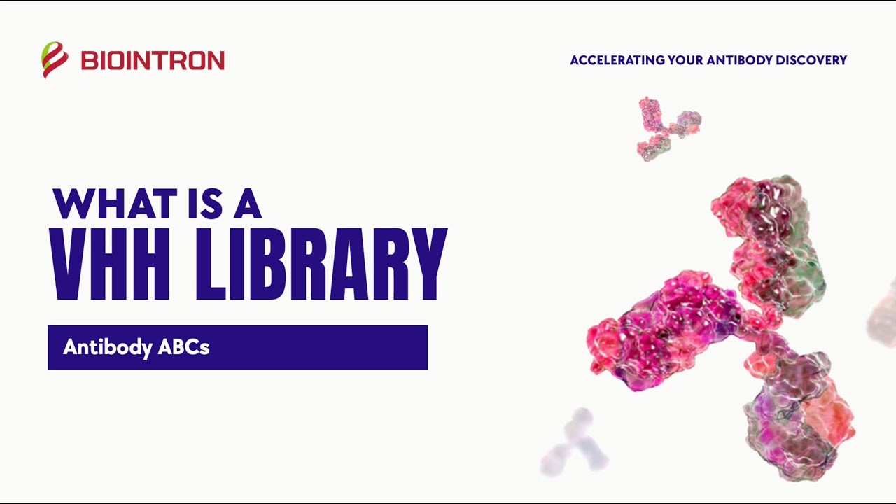 Antibody ABCs: What is a VHH Library?
