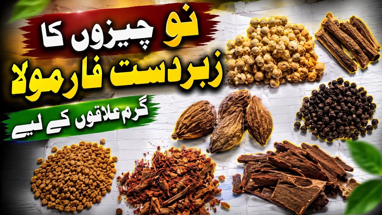 9 chijon ka jabardast formula garm ilakon ke liye#pigeon #birds #kabootar #support #quetta 